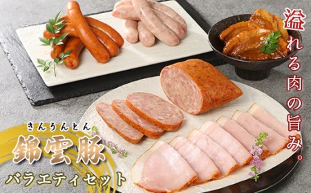 錦雲豚バラエティセット / ウインナー パストラミローフ ハム 角煮 粗挽き 福岡県 特産
