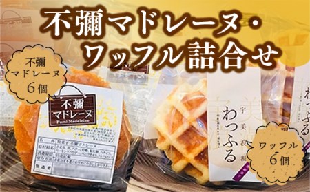 焼き菓子 セット 不彌マドレーヌ ワッフル 各6個 [パティスリーF 福岡県 宇美町 um40azo950000] 詰め合わせ マドレーヌ 個包装 お菓子