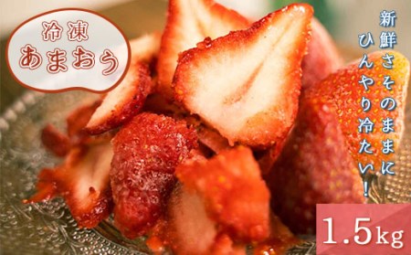  Ⓚ ܂ 1.5kg [THE FARM_strawberry  F um40azo780002] C`S  t[c ʕ ʎ Â ܂ Ⓚ Ⓚ ⓀC`S Ⓚt[c