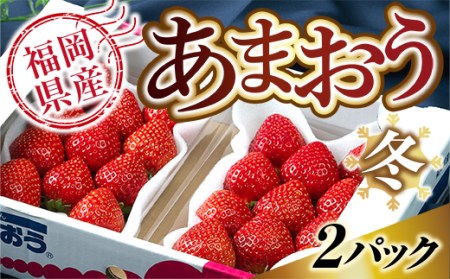 福岡産あまおう冬2パック 先行予約※2024年12月上旬から2025年1月下旬に順次発送予定 AX001 