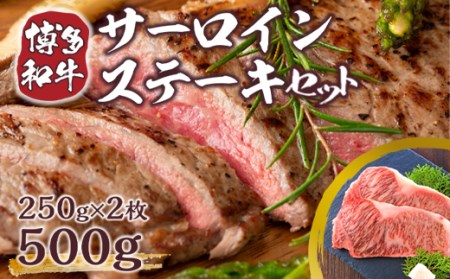 a T[C Xe[L 250g 2 v500g [MEAT PLUS  F um40azp010004]