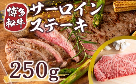 博多和牛 サーロイン ステーキ 250g 1枚 [MEAT PLUS 福岡県 宇美町 um40azp010008]