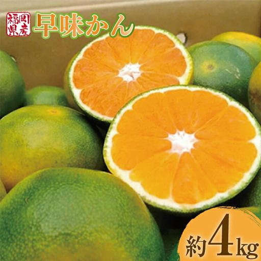 みかん 早味かん 約 4kg [um40azo970031] みかん