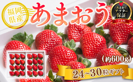 yԌ蔭z  ܂ Y܂ 24`30 [썑t[c  F um40azo970008]