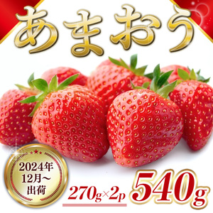 福岡県産 あまおう 540g 先行予約 2024年12月より順次発送