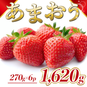 MZ059 福岡県産 あまおう 1620g　先行予約 2025年1月～3月末にかけて順次発送予定