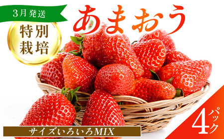 福岡県産 特別栽培 あまおう サイズいろいろMIX 約1140g(約285g×4パック)[3月発送] 農園直送 アフター保証 先行予約 福岡産 送料無料 ケーキ ギフト お祝い 限定 季節限定