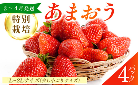 福岡県産 特別栽培 あまおう L~2Lサイズ(少し小ぶりサイズ)約1140g(約285g×4パック)[2〜4月発送] 農園直送 アフター保証 先行予約 福岡産 送料無料 ケーキ ギフト お祝い 限定 季節限定