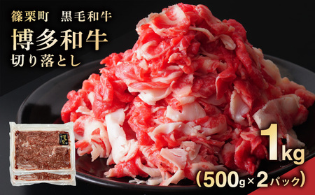 博多和牛切り落とし1kg(500g×2パック)PE013 | 牛肉 牛 肉 国産 九州産 博多和牛 切り落とし 肉 1kg 黒毛和牛 霜降り 和牛 冷凍 すき焼き 牛丼 肉じゃが 焼肉 しゃぶしゃぶ