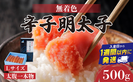 yLTCY̑{zhqq500g(F) | Zz ^q   Ε p ƒp