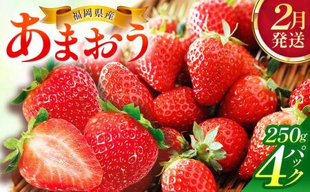 �y2�������z�������Y���܂�����250g×4�p�b�N