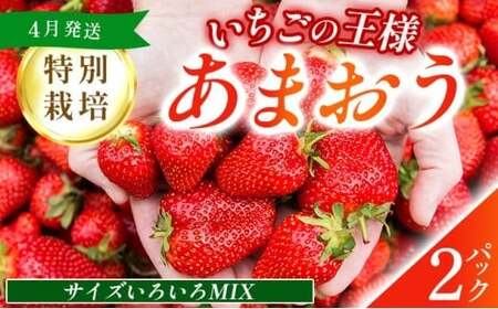 Y ʍ͔| ܂ TCY낢MIX 570gi285g×2pbNjy4z@_ At^[ۏ s\ Y  P[L Mtg j  Gߌ UN007