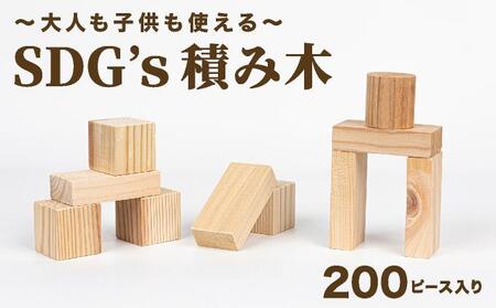 大人も子供も使えるSDG's積み木