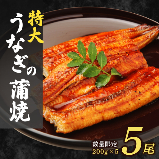 大容量1kg！特大うなぎ蒲焼200g×5尾