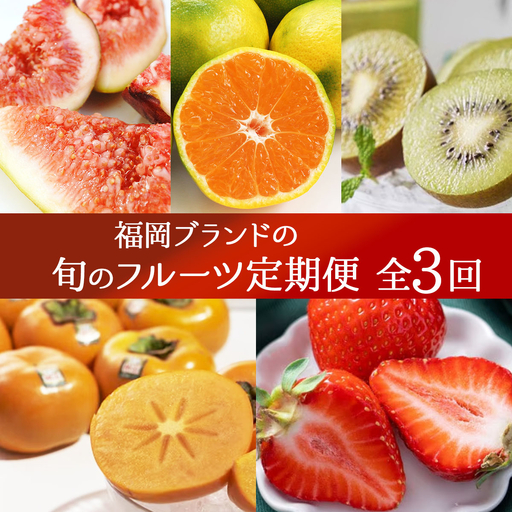 ＜3回定期便＞福岡ブランドの旬のフルーツ定期便 (篠栗町)｜イチジク ミカン キウイ 柿 イチゴ【NF021】