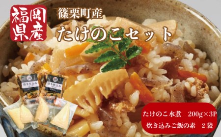 篠栗産たけのこ セット たけのこ水煮 炊き込みご飯 タケノコ 筍
