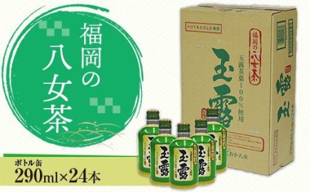 福岡の八女茶 玉露ボトル缶(290g)×24缶