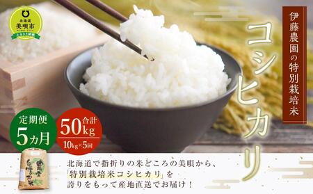 [令和5年産]伊藤農園の特別栽培米コシヒカリ 精米(10kg)[定期便5ヶ月]