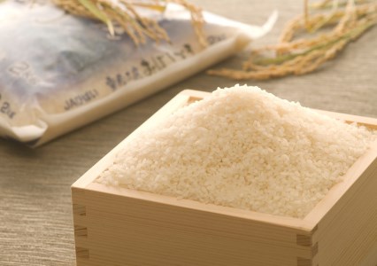 【令和２年産】雪蔵工房 幻の米 おぼろづき（5kg）
