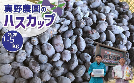 アンテナショップPiPaセレクト 真野農園のハスカップ1.0kg(500g×2) [令和7年産先行予約]