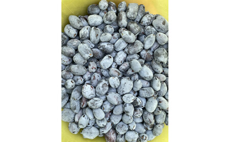 AeiVbvPiPaZNg SỸnXJbv1.0kgi500g×2j