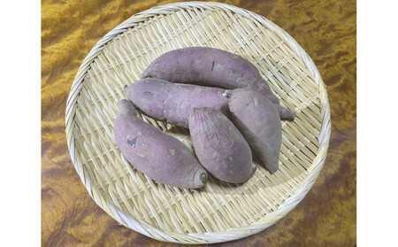 �k�C���Y���R�͔|�̂��܂����P�L���y�V���N�X�C�[�g�z