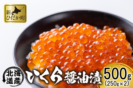 北海道 日高産 いくら 醤油漬 500g ( 250g × 2パック )