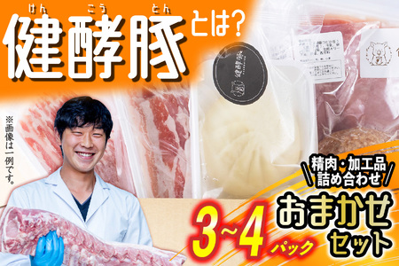 北海道産 健酵豚 おまかせ セット 3〜4パック 豚肉 精肉 加工品 おためし 詰め合わせ ブランドポーク