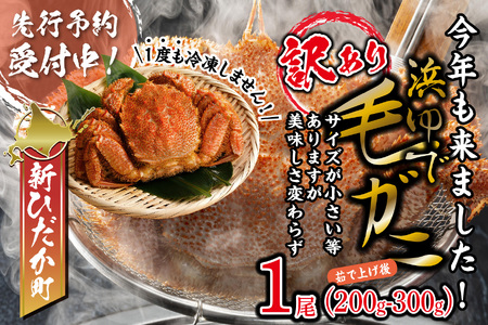 訳あり 北海道産 浜ゆで 毛ガニ 1尾 ( 200g~300g )  ＜2025年1月から順次発送＞  北海道 新ひだか町 毛ガニ毛ガニ毛ガニ毛ガニ毛ガニ