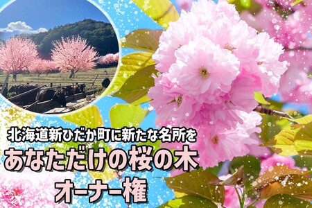 [ 北海道 新ひだか町 に新たな 桜 の 名所 を ] あなた だけの 桜の木 オーナー 権 八重桜 キャンプ BBQ バーベキュー 三石 まつもと牧場