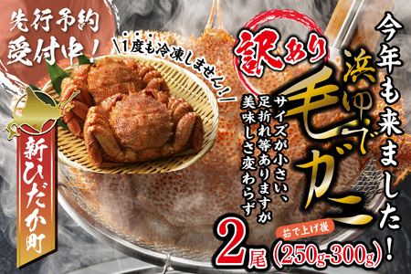 ＜2026年2月中旬から順次発送＞ 訳あり 北海道産 浜ゆで 毛ガニ 2尾 (  1尾あたり 250g ～ 300g )  毛蟹 毛がに かに味噌 カニ味噌 新鮮 旬 ボイル 浜茹で 海鮮 海産物 わけあり 訳アリ ＜予約商品＞ 