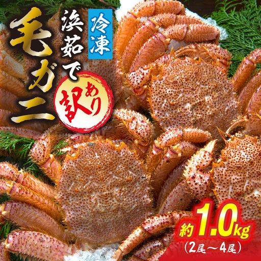 訳あり 北海道産 毛ガニ [ 冷凍 ] ボイル 約 1kg ( 2〜4尾 ) 毛蟹 毛がに かに カニ 蟹 かに味噌 カニ味噌 海鮮 海産物 わけあり 訳アリ 冷凍便
