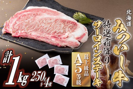 北海道産 黒毛和牛 みついし牛 A5 サーロインステーキ 計 1kg (250g×4枚)