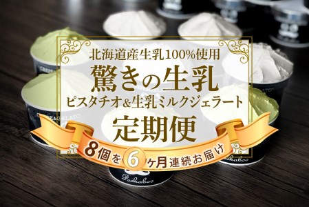 [6ヶ月定期便]北海道産 生乳 ジェラート アイス 毎月8個 ピスタチオ & 生乳ミルク 各4個 詰め合わせ ジェラートセット