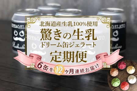 ＜12ヶ月定期便＞北海道産 生乳 ドリーム缶 ジェラート アイス 毎月6缶  詰め合わせ ジェラートセット