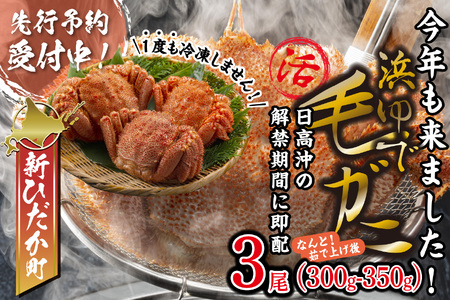 [2026年2月中旬から順次発送] 北海道産 浜ゆで 毛ガニ 3尾 計 900g 以上 [予約商品] 北海道 新ひだか町 毛ガニ毛ガニ毛ガニ毛ガニ毛ガニ