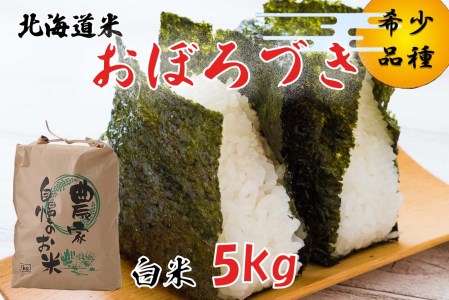 [ 10月中旬から順次発送 ] 新米 令和7年度産 北海道米 おぼろづき 白米 5kg 北海道 新ひだか町 [ 予約受付 ]
