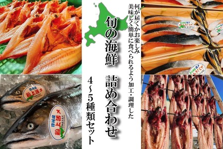 北海道産 旬のお魚 4〜5種 お楽しみ詰め合わせ セット