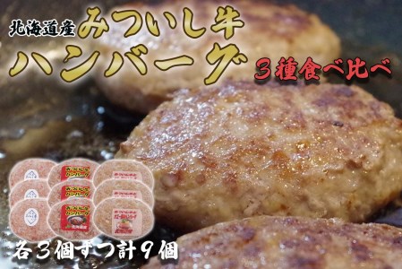 北海道産 黒毛和牛 みついし牛 ハンバーグ 3種 計 900g ( 100g × 各 3個 ) セット ( ホエー豚 道産豚 )