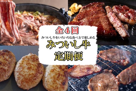 [定期便4回] 北海道産 黒毛和牛 みついし牛 定期便