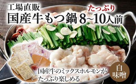 国産牛もつ鍋(白味噌味) 工場直販 たっぷり8〜10人前 お取り寄せグルメ お取り寄せ 福岡 お土産 九州 福岡土産 取り寄せ グルメ 福岡県