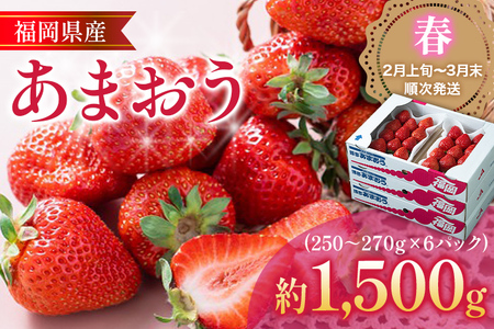 Yytz܂ 6pbN v1500g~1620g 1.5kg i1pbN250g~270gj   ʕ t[c BY Y ① 