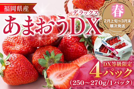 Yytz܂DXifbNXj4pbN   ʕ t[c BY Y ①  y2{Jn\z C`S t[c ʕ  uh Y Ö ʏ`