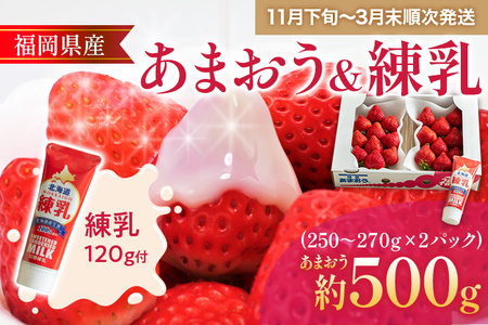 福岡産 あまおう 2パック 合計約500~540g コンデンスミルク 練乳 いちご 苺 果物 フルーツ 九州産 福岡県産 冷蔵 送料無料