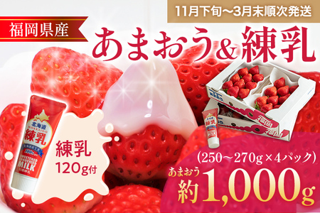 福岡産 あまおう 4パック 合計約1000g コンデンスミルク 練乳 いちご 苺 果物 フルーツ 九州産 福岡県産 冷蔵 送料無料