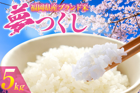 令和6年度産 福岡県産 夢つくし 5kg 1袋 白米 お米 ご飯 米 精米 送料無料 お取り寄せグルメ お取り寄せ 福岡 お土産 九州 福岡土産 取り寄せ グルメ 福岡県