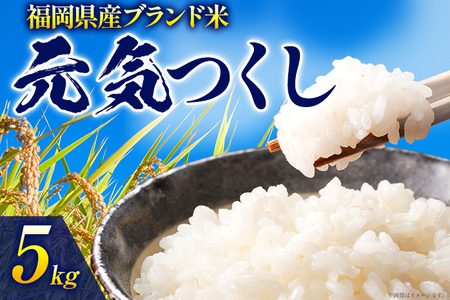 令和6年度産 福岡県産 元気つくし 5kg 1袋 白米 お米 ご飯 米 精米 送料無料 お取り寄せグルメ お取り寄せ 福岡 お土産 九州 福岡土産 取り寄せ グルメ 福岡県