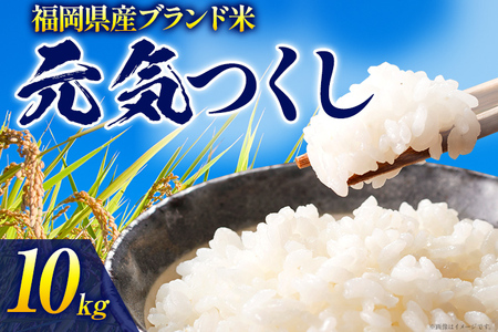 令和6年度産 福岡県産 元気つくし 10kg(5kg×2袋) 白米 お米 ご飯 米 精米 送料無料 お取り寄せグルメ お取り寄せ 福岡 お土産 九州 福岡土産 取り寄せ グルメ 福岡県