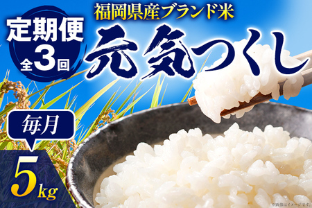 [3ヶ月 定期便] 元気つくし 合計15kg 5kg×3回 白米 お米 ご飯 米 精米 送料無料 お取り寄せグルメ お取り寄せ 福岡 お土産 九州 福岡土産 取り寄せ グルメ 福岡県