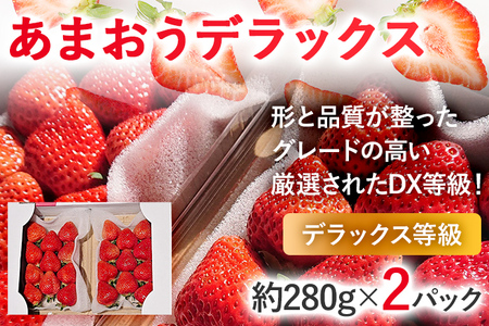 [2025年発送先行予約]あまおうデラックス(約280g x2パック) お取り寄せグルメ お取り寄せ 福岡 お土産 九州 福岡土産 取り寄せ グルメ 福岡県